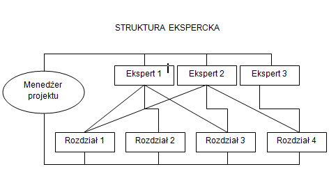 Plik:Struktura ekspercka2.png
