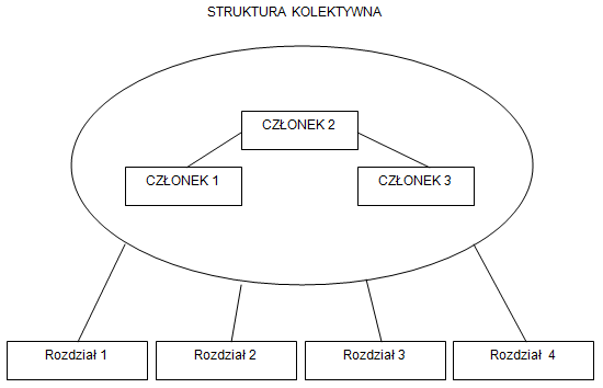 Plik:Struktura kolektywna2.png