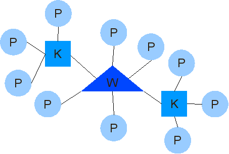 Plik:Struktura promienista rozw.png
