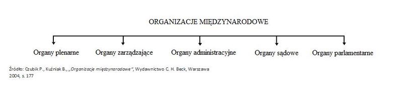Plik:Struktura organizacji miedzynarodowych.jpg