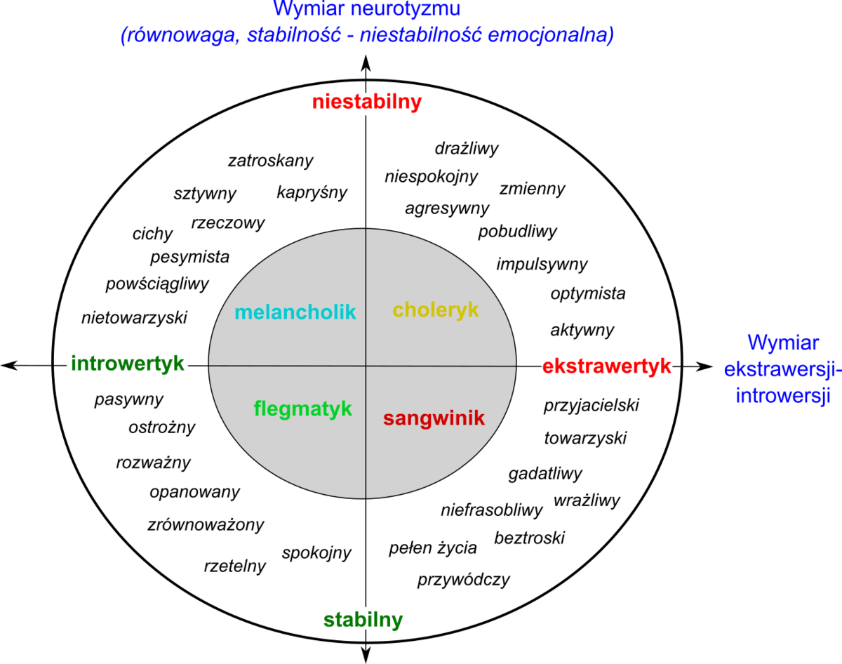 Ekstrawertyk Encyklopedia Zarządzania