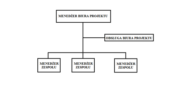 Biuro Projektu Encyklopedia Zarządzania 0807